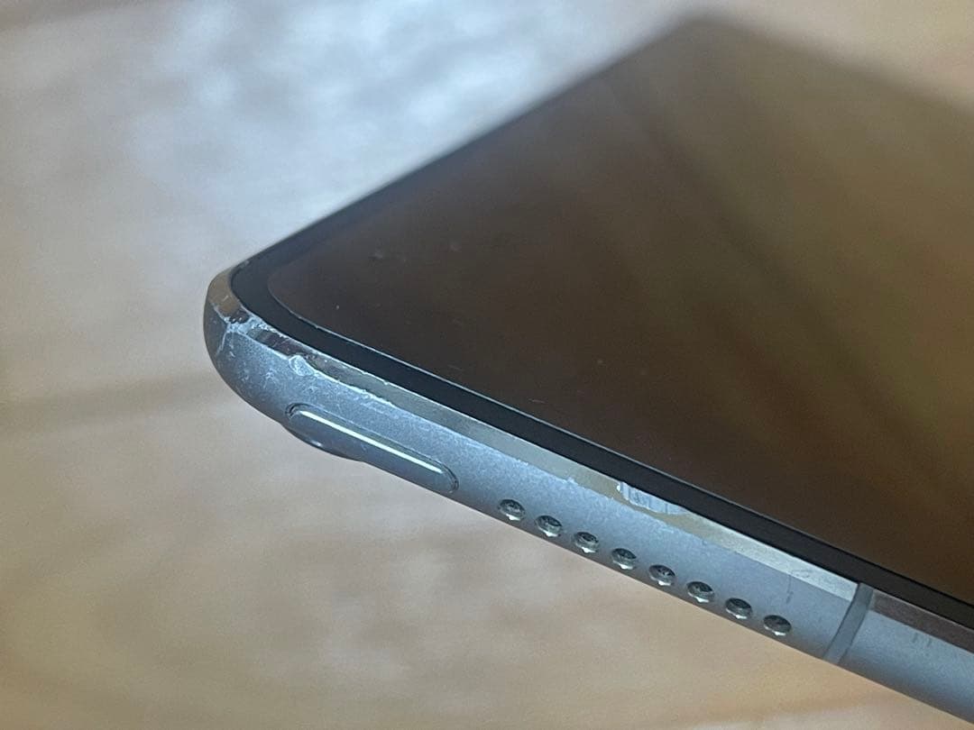 Apple iPad Pro 10.5インチ256GB