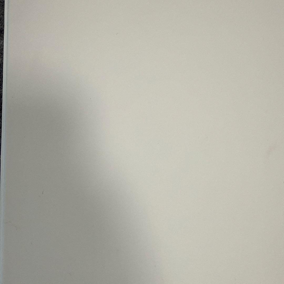 Apple純正 Magic Keyboard 11インチ MJQJ3J/A 白