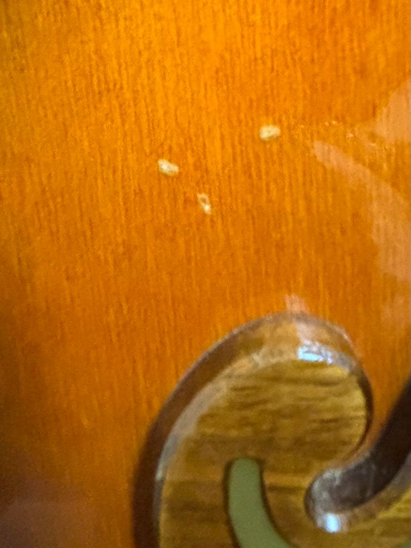 ロ*ド様 Epiphone EJ200VS アコースティックギター サンバースト