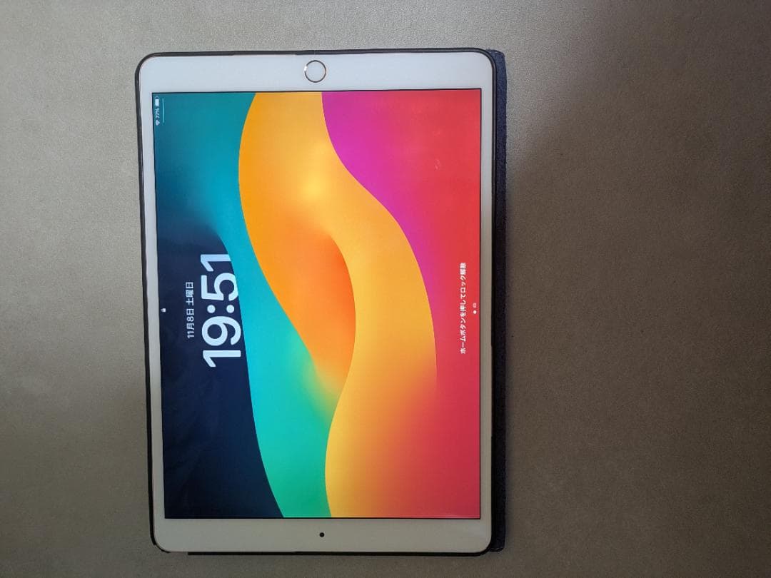 iPadPro (第1世代) 256GB/Wi-fi/10.5インチ カバー付き