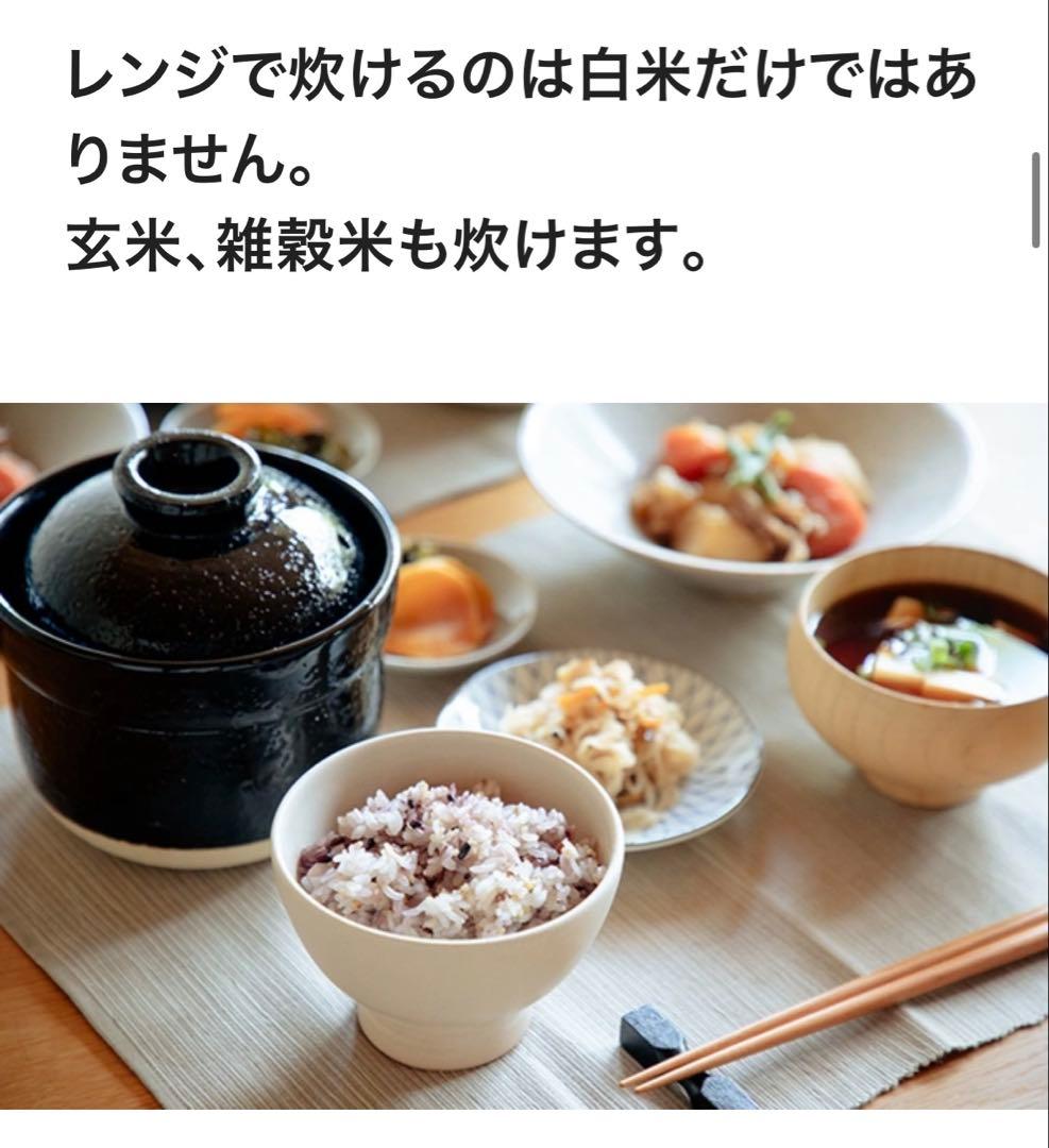 1人用 レンジで簡単 直火を超えた旨み溶け出す本格ごはん 伊賀焼レンジ土鍋