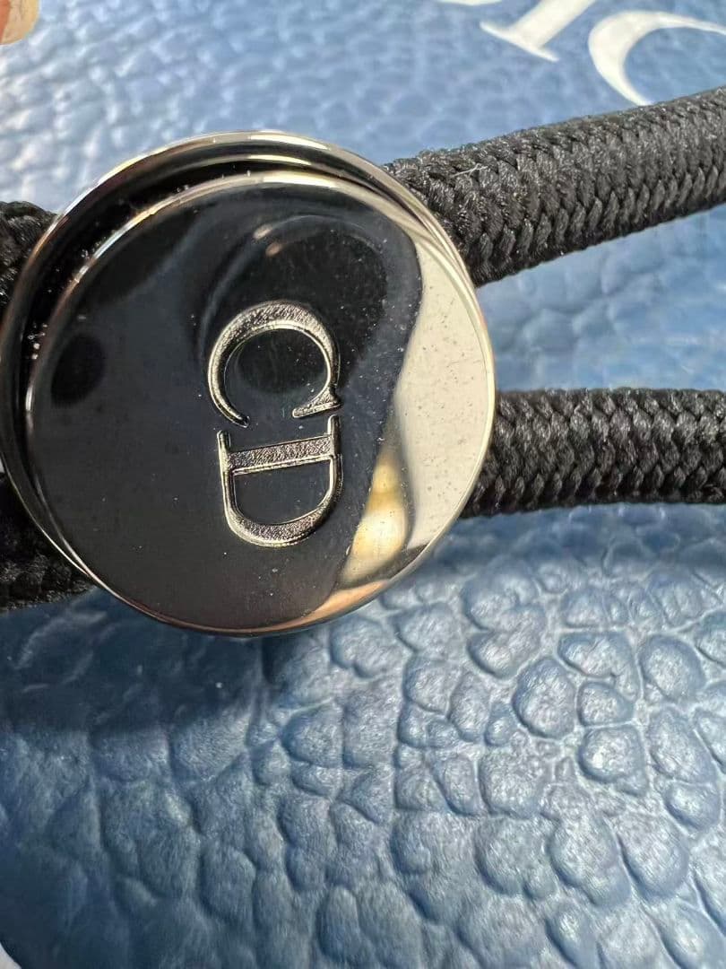 Dior ディオール　犬型AIR PODSケース新品未使用