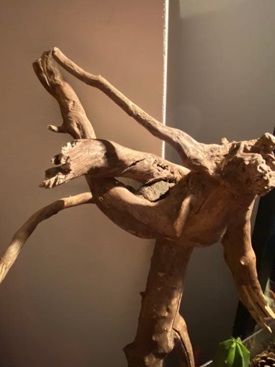 天然物 EVA系 人型 使徒 木製 デザイン インテリア