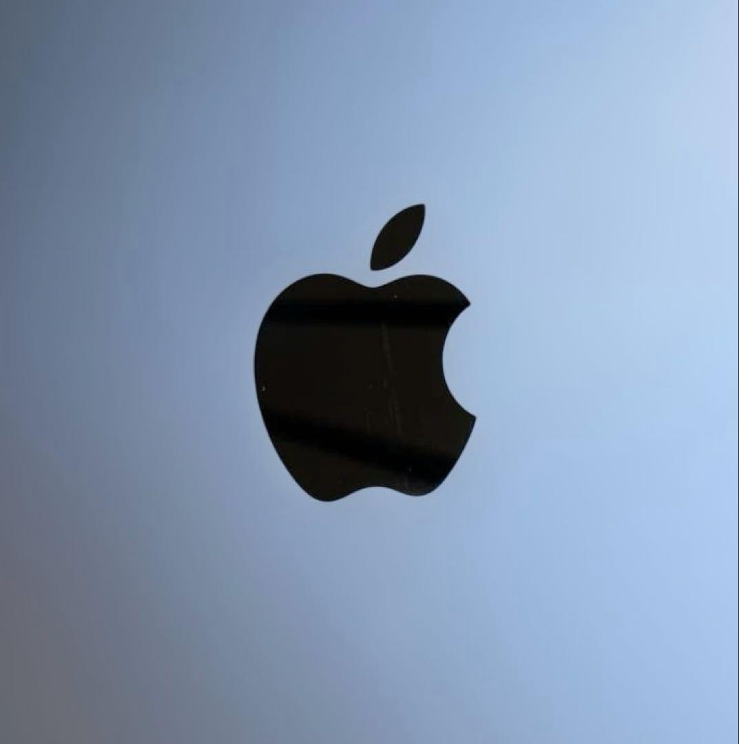 バッテリー状態92% iPad Pro 265GB MP6G2J/+新品ケース付