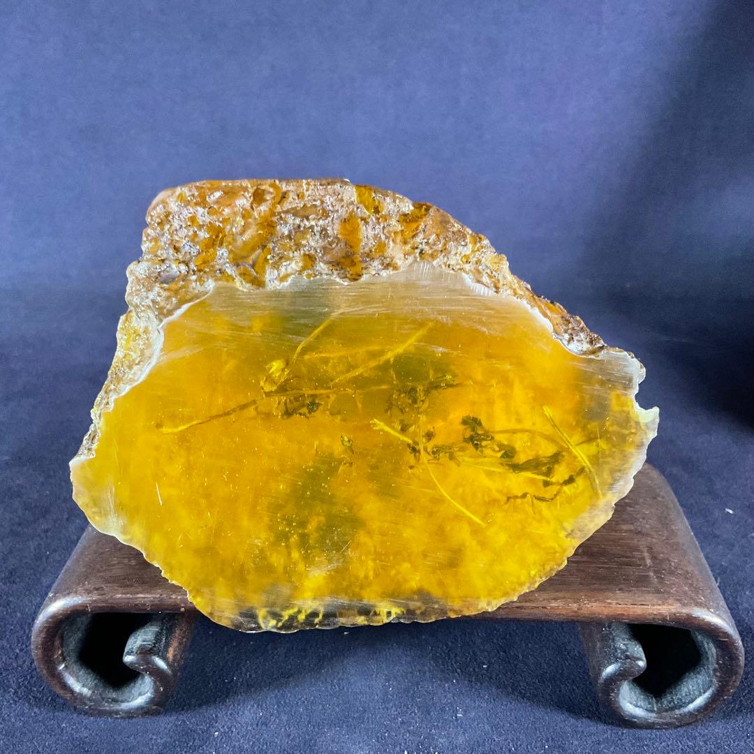 琥珀の中の蝶標本