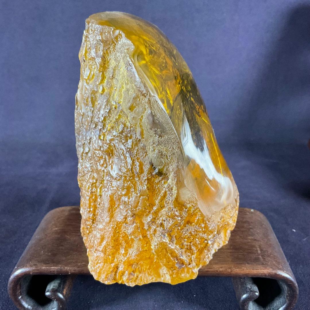 琥珀の中の蝶標本