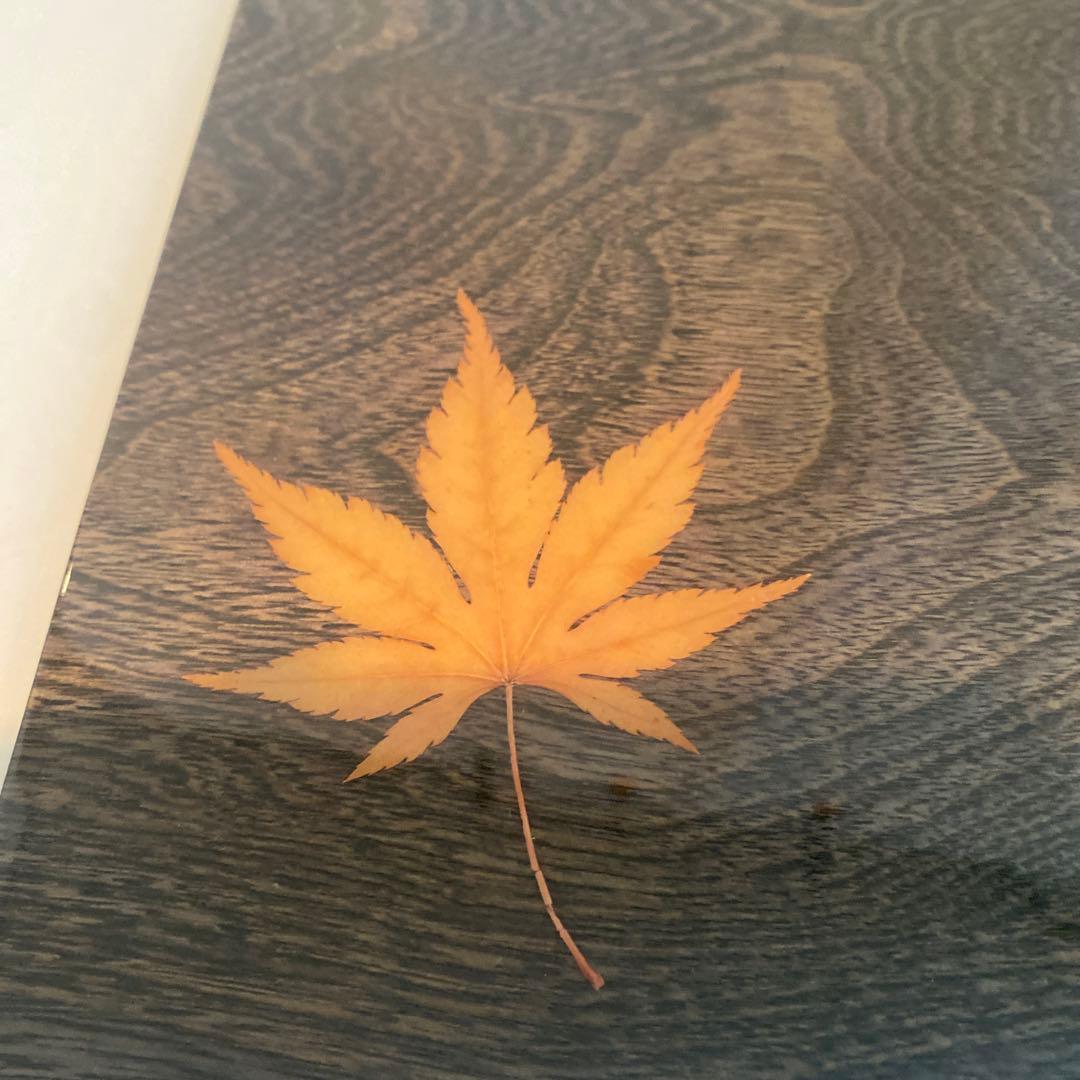 木製 膳 薄い黒色 木目 本物の紅葉　お膳5枚セット　新品　購入時一枚1万円