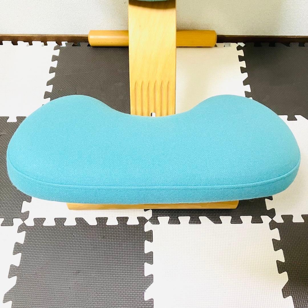 Rybo リボ バランスイージー チェアー 姿勢矯正イス サカモトハウス ブルー