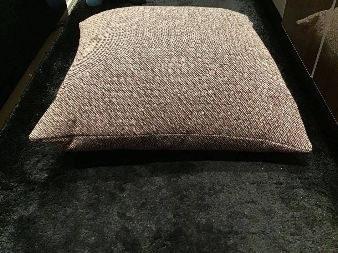 極美品KVADRAT/RAF SIMONS クヴァドラ/ラフシモンズ　クッション