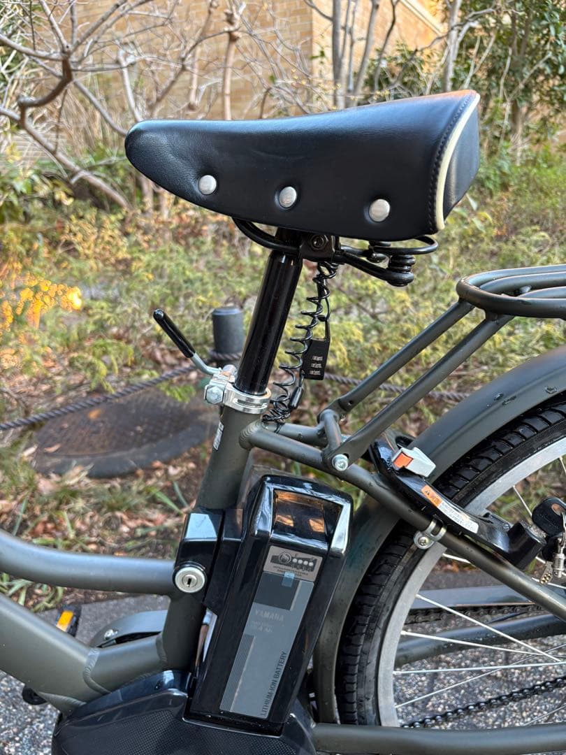 リ*ん様 PAS RIN PA26RN