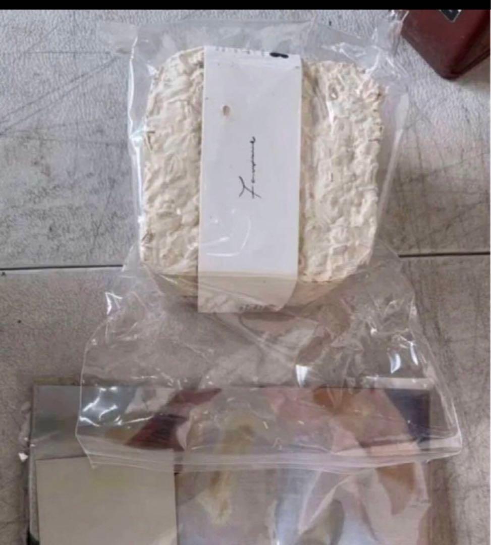 Fauvirame シダチェーンネックレス / ゴールド