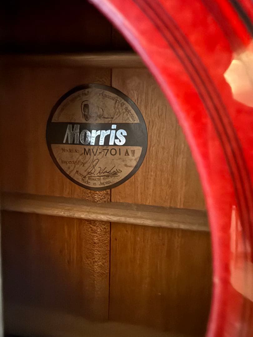 アコギ　Morris MV701 AW モーリス