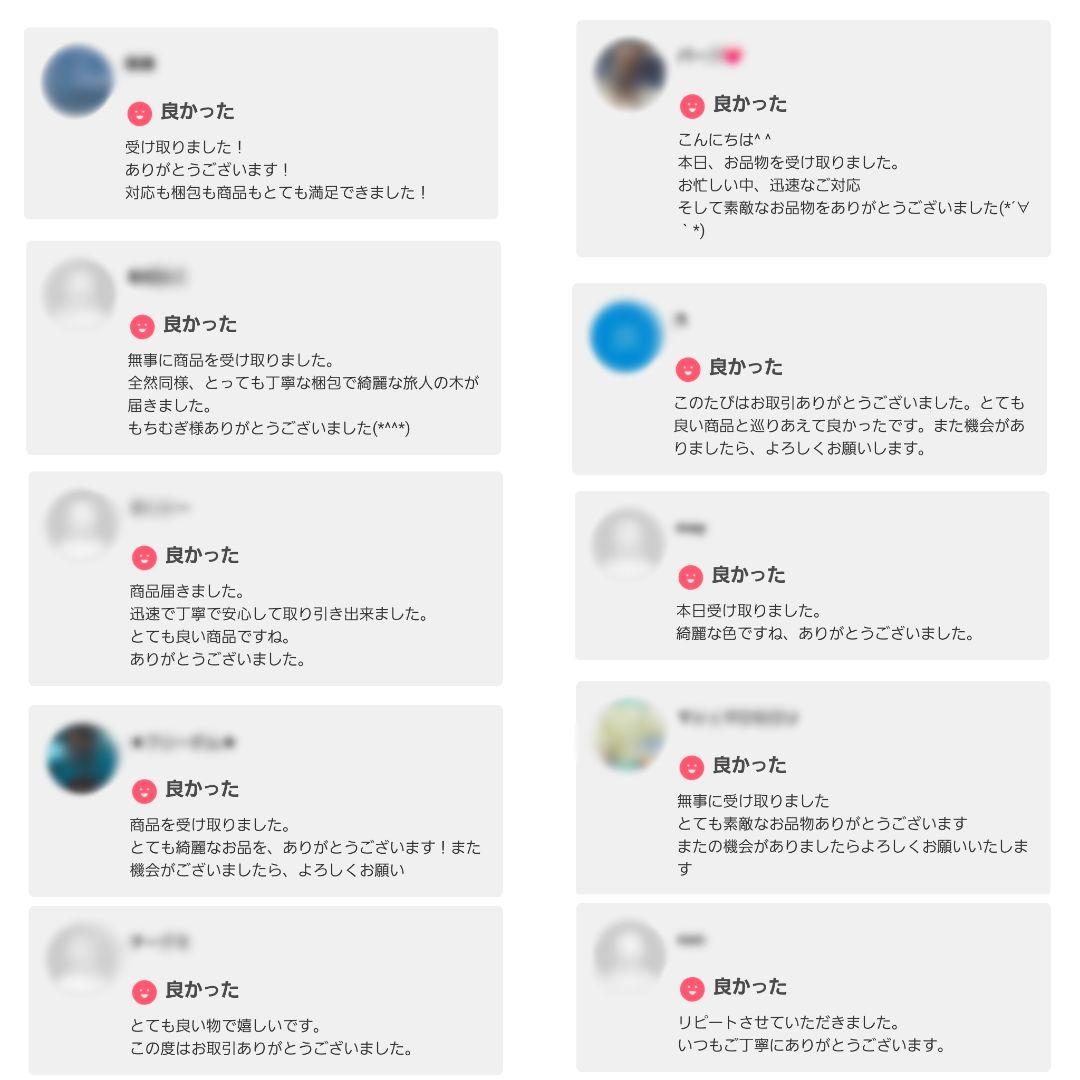 旅人の木 タビビトノキ 石垣島産 送料込み