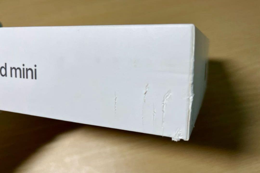 Apple iPad mini 本体 8.3インチ