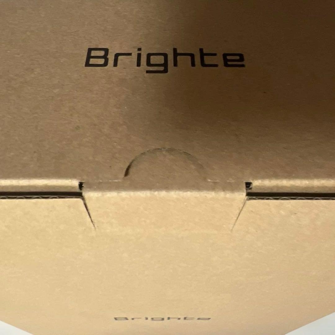 Brighte ブライト SHOWER DRYER シャワードライヤー 大風量