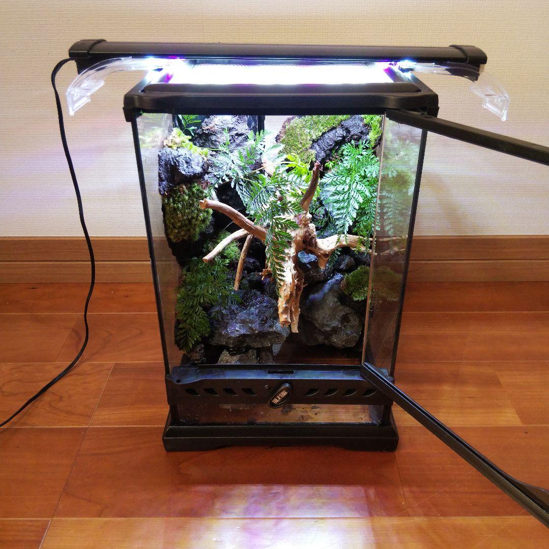 【受注生産】滝の流れるアクアテラリウム　テラリウム　苔　イモリウム