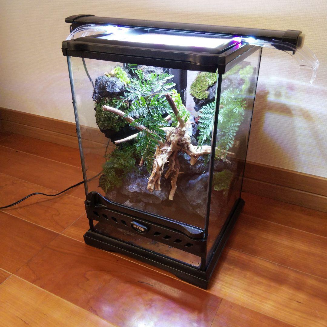 【受注生産】滝の流れるアクアテラリウム　テラリウム　苔　イモリウム