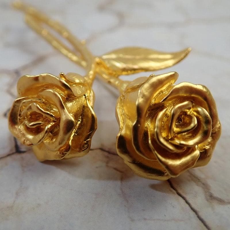 Patrick Q 様RU-6046 KENZO ケンゾーバラ　20250617