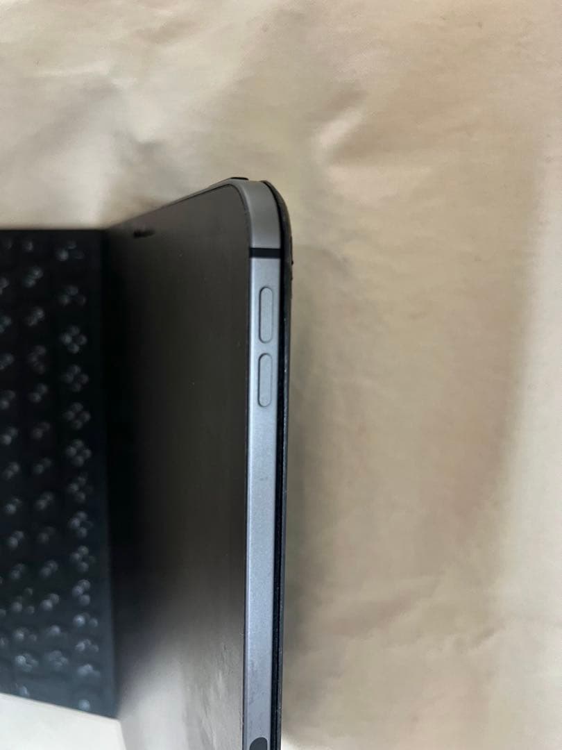 犬iPad Air4 64GB Apple Pencilアップルペンシル