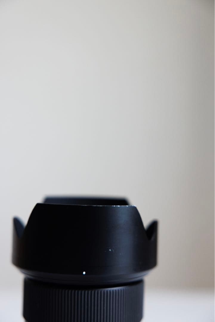 レンズ(ズーム) leica vario elmarit SL 24-70mm f2.8