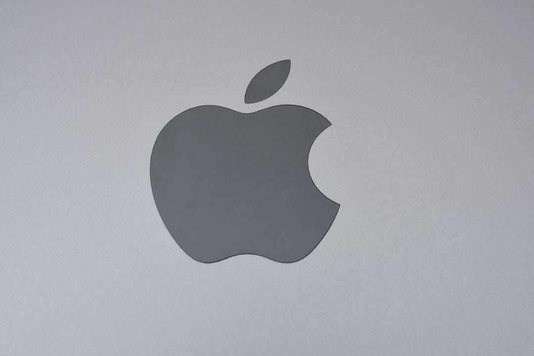 【ANAロゴ刻印】iPad mini Wi-Fiモデル 64GB スペースグレイ