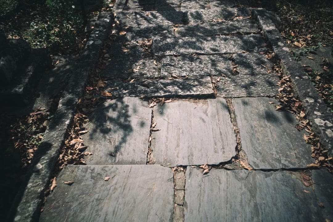 OH済！広角の鉄板 Leica Summaron 35mm オールドレンズ