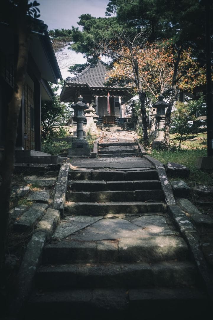 OH済！広角の鉄板 Leica Summaron 35mm オールドレンズ