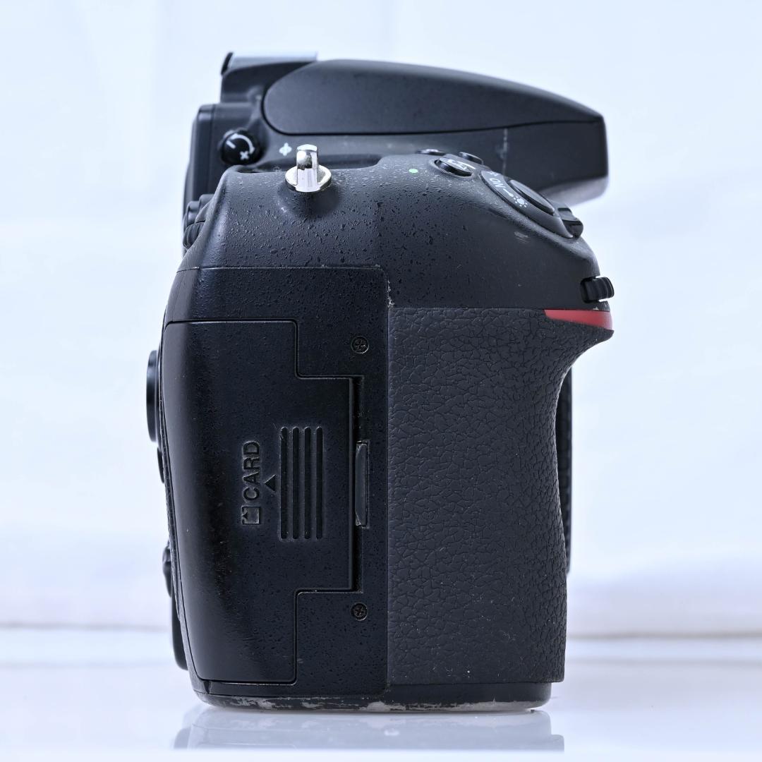 Nikon D800 67500ショット
