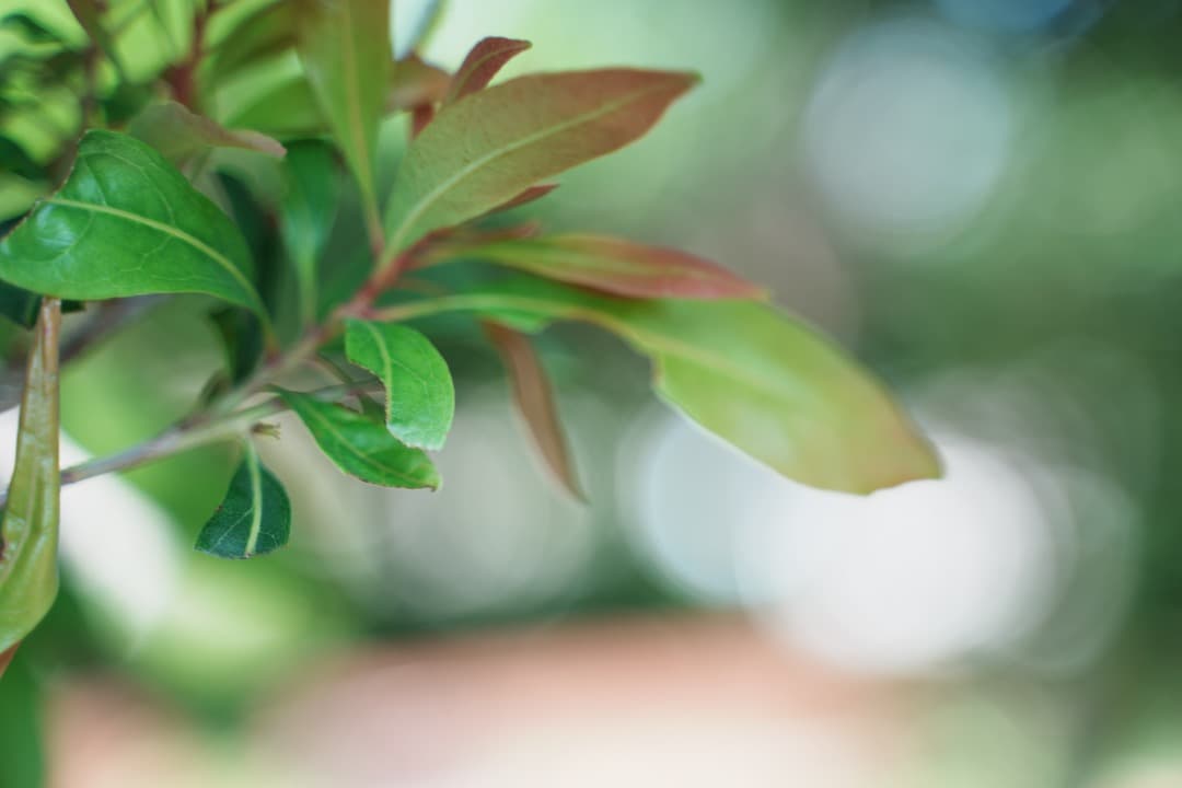 【美品】Tamron 28-75mm F2.8 Di III RXD ソニーE用