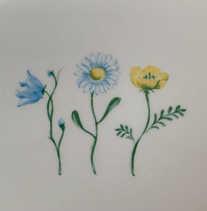  STAFFORD プレート 2枚 イギリス製 陶磁器 ボタニカル花柄