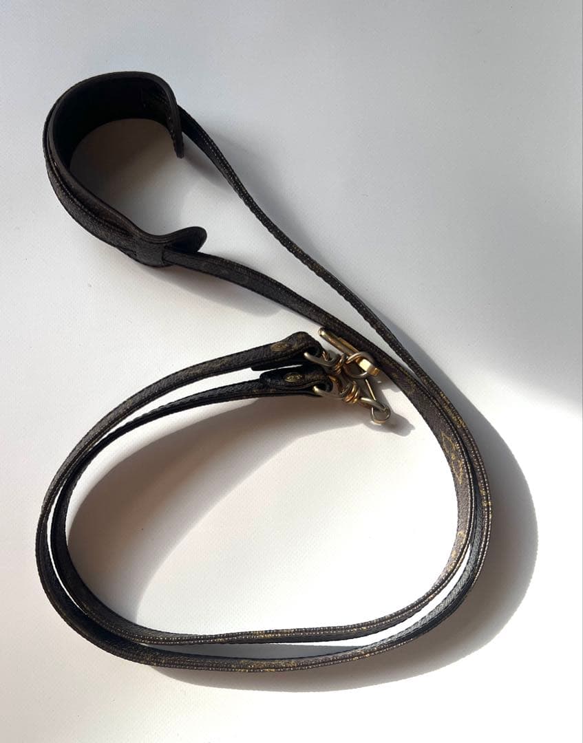 Louis Vuitton モノグラム ミニバッグショルダー付