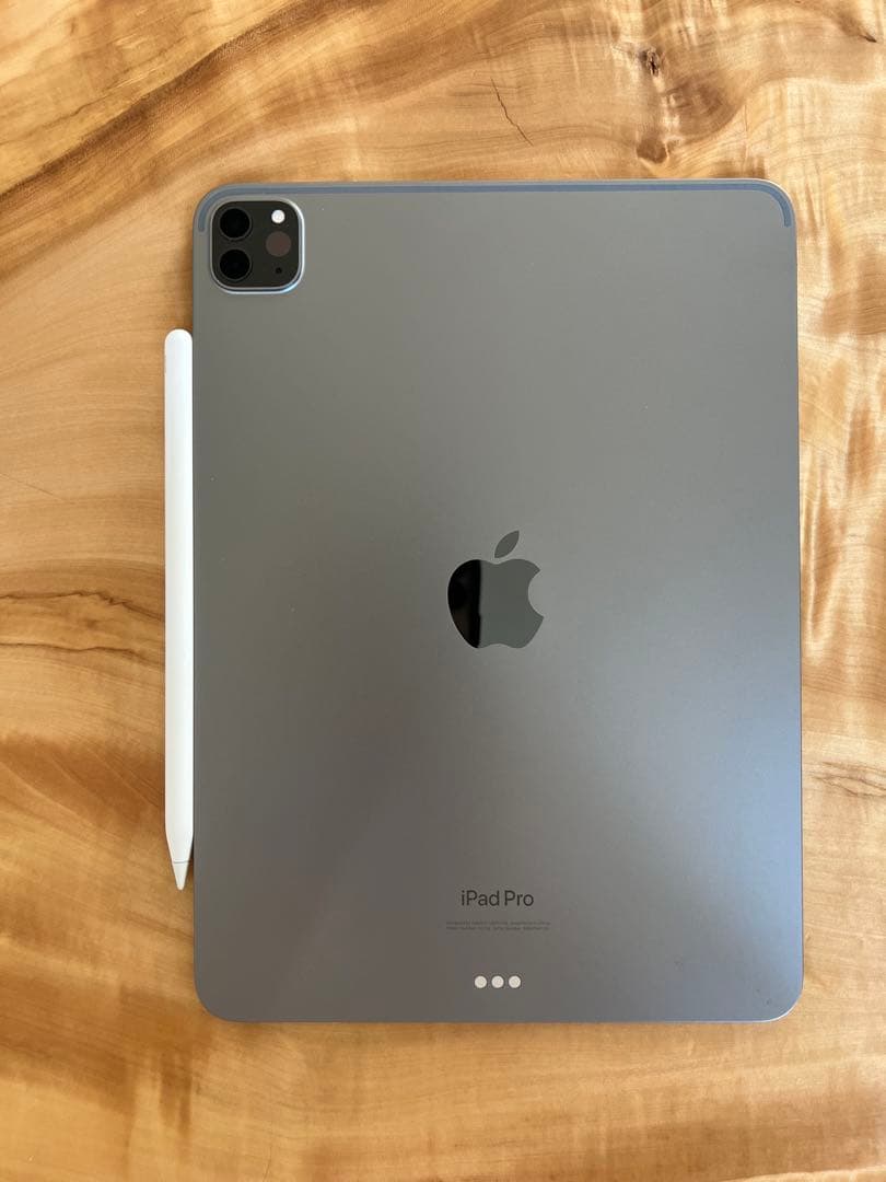 Apple iPad Pro(スペースグレー)本体 + Apple Pencil