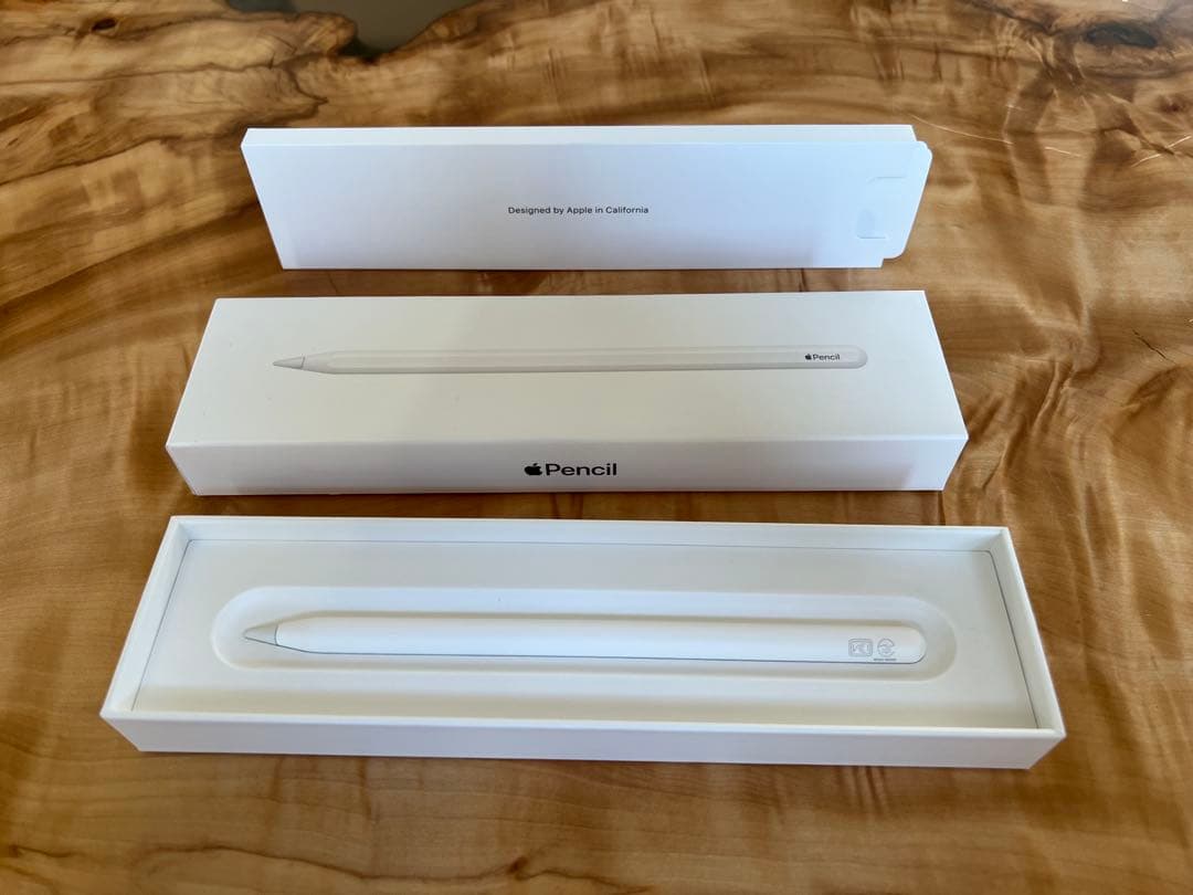 Apple iPad Pro(スペースグレー)本体 + Apple Pencil