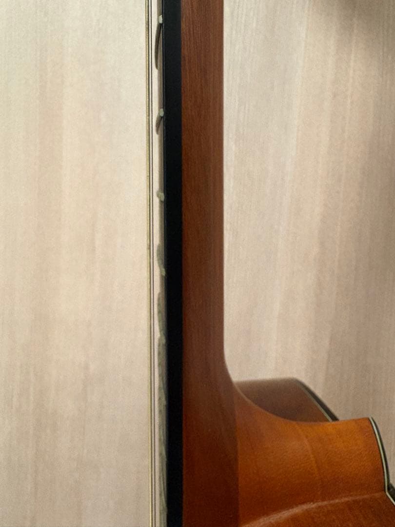 Morris F-25 アコースティックギター