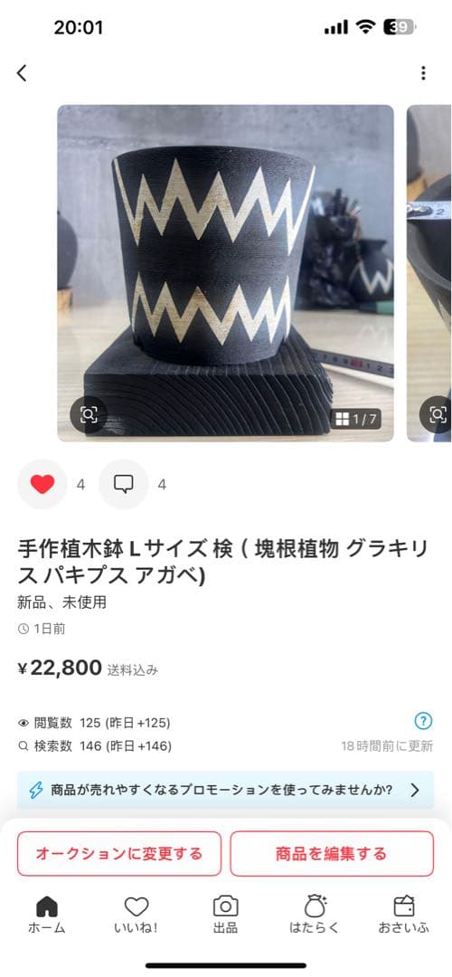 手作植木鉢 Lサイズ 検（ 塊根植物 グラキリス パキプス アガベ)