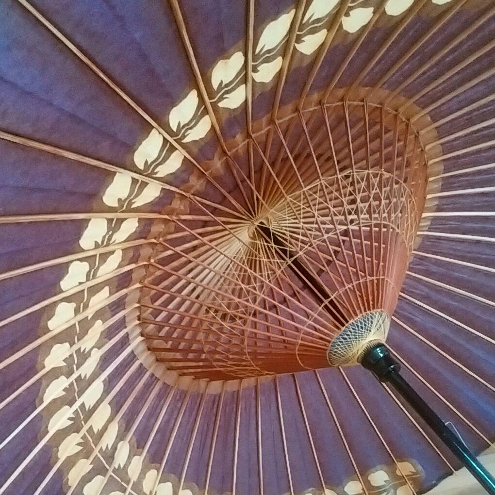 京都 かさ源 国産和傘【紫 藤】