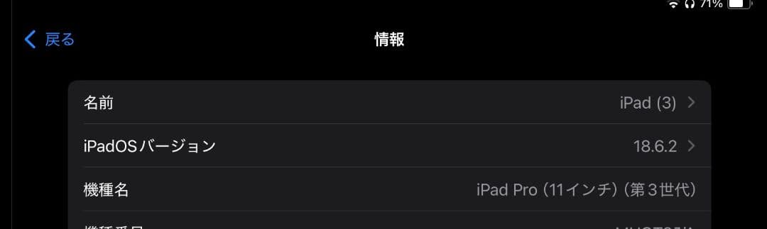 iPad Pro(第３世代) 11インチ　　Apple Pencil第2世代