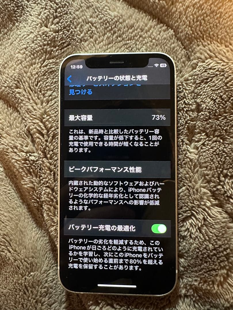 Apple iPhone 12 mini本体　ジャンク品