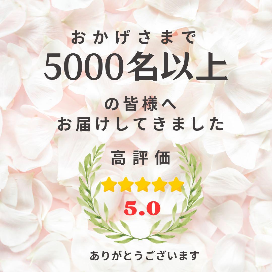 春を纏う 薔薇咲き誇るエレガントアーチリース｜光触媒フラワー｜玄関・インテリア
