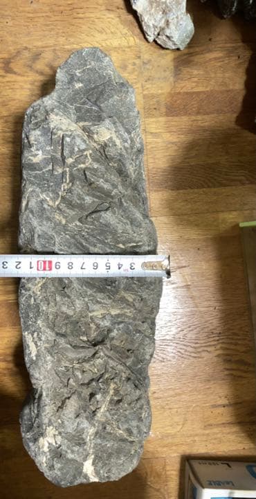 八海石　ADA アクアリウム　特大　水石　石組　盆石