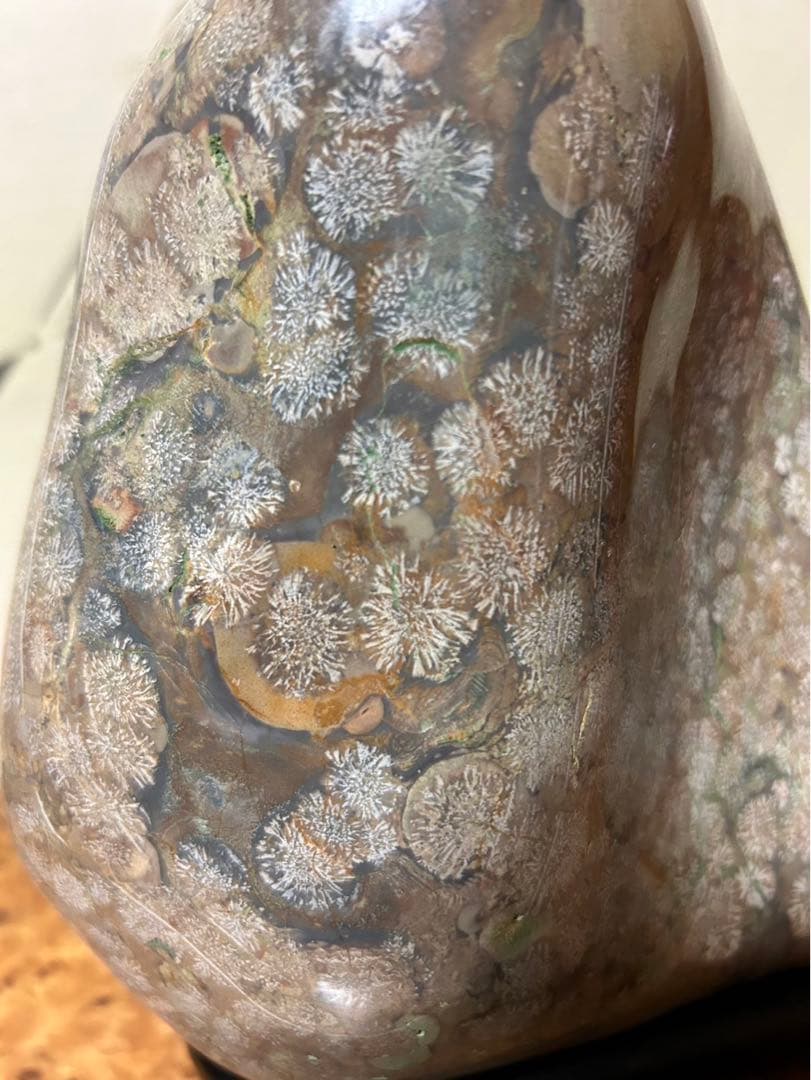 青森県　花紋石　花火　鑑賞石