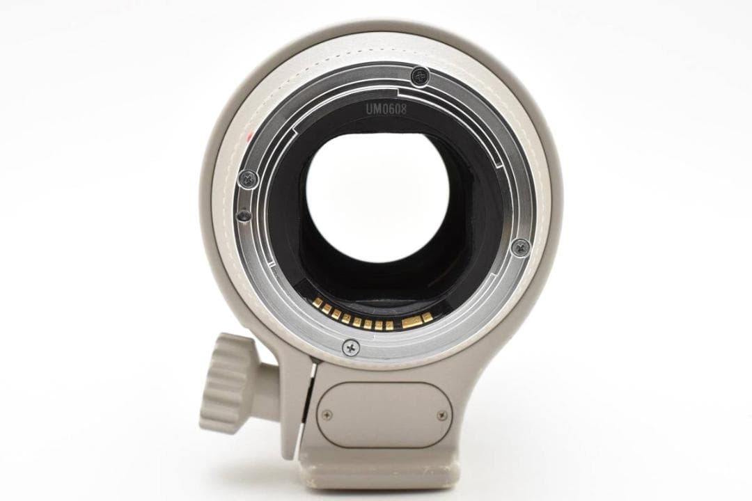 ★大口径望遠ズーム★ Canon EF 70-200mm F2.8 L USM