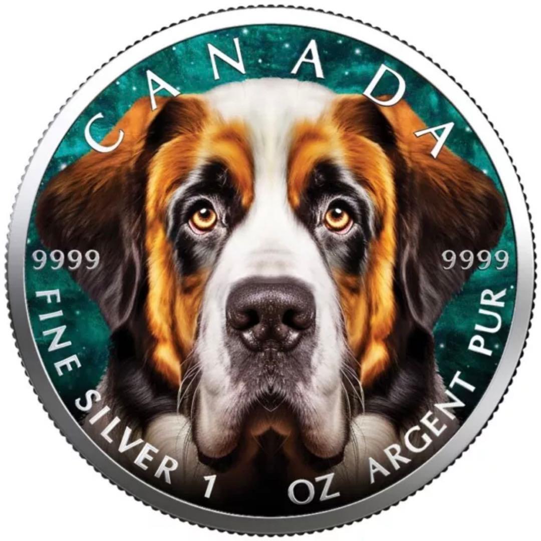 【世界100枚限定！】メイプルリーフ 銀貨 カラー セントバーナード 1オンス