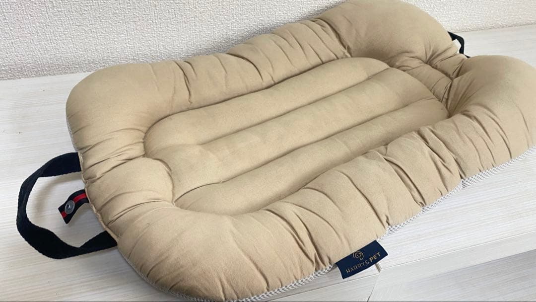 Angel.o728 　AIRBUGGY Dome3 レギュラーサイズ