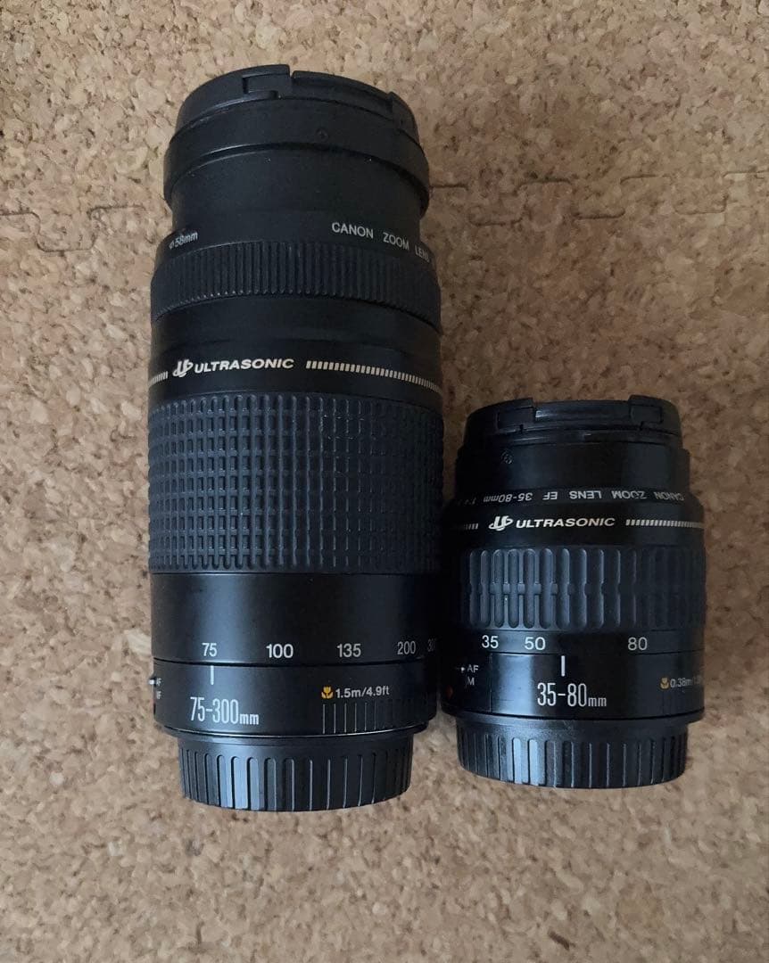 Canon EOS 90D 標準＆望遠ダブルレンズセット