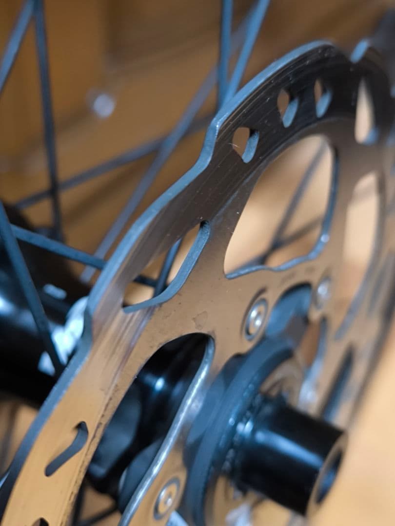 Vision Team 30 ディスク リアホイール Ice-Tech付