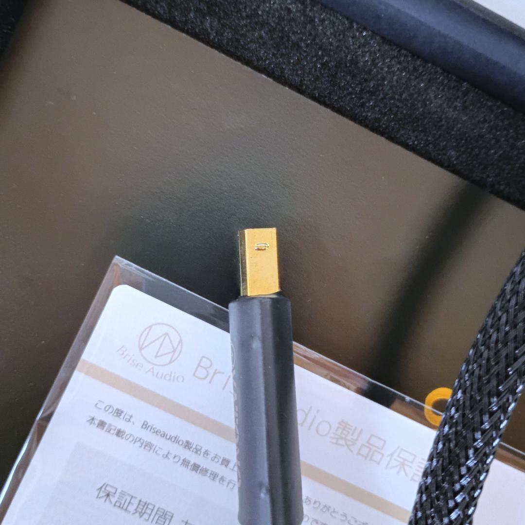 【お値下げしました】Brise Audio YATONO USB v2