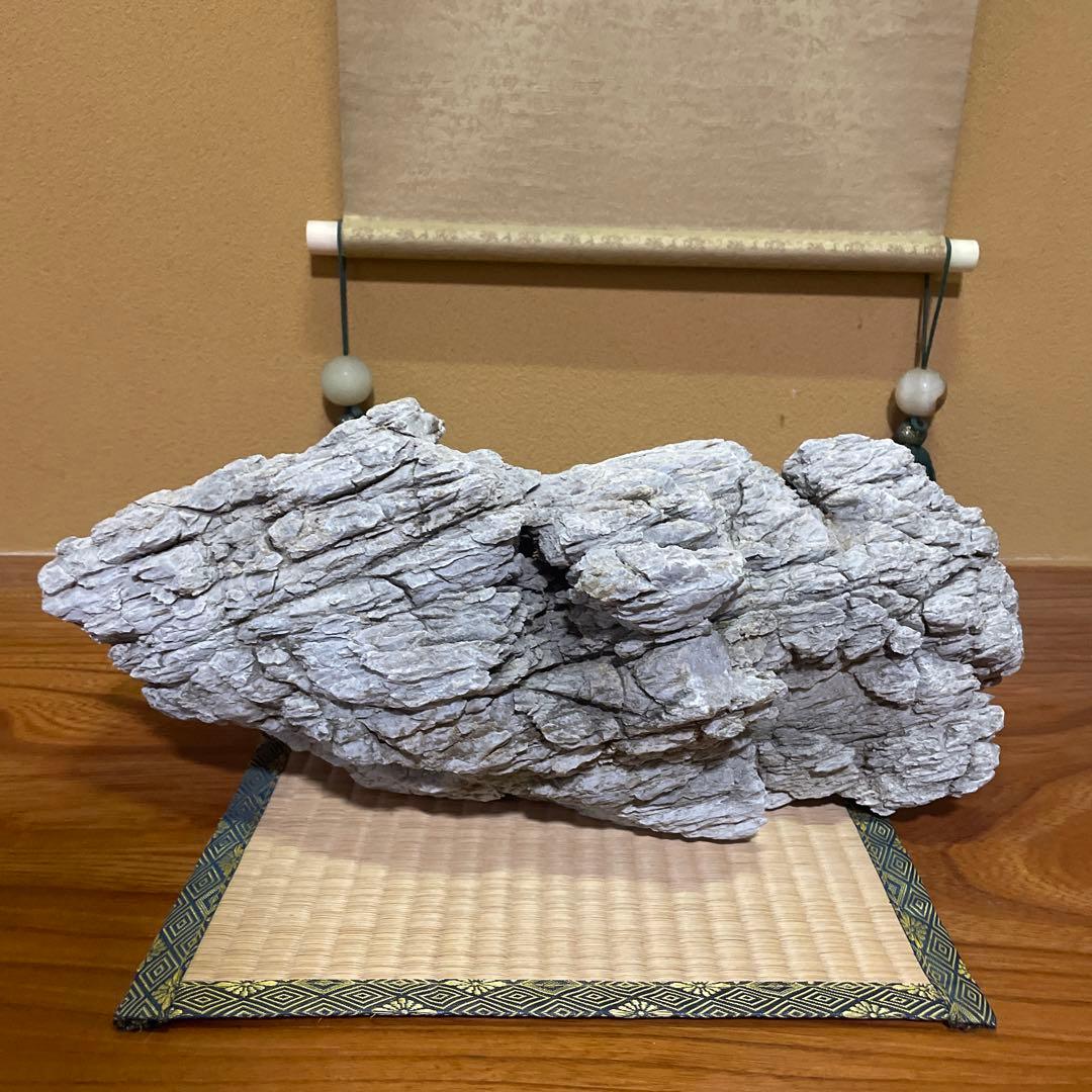 亀文石 水石 鑑賞石 庭石 アクアリウム【特大】