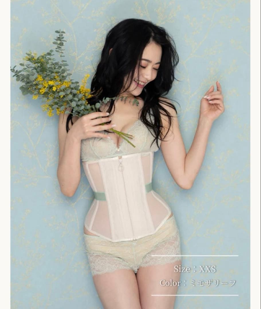 Mサイズ　元鈴木さん ENCHANTED CORSET 日本製　シルフィード