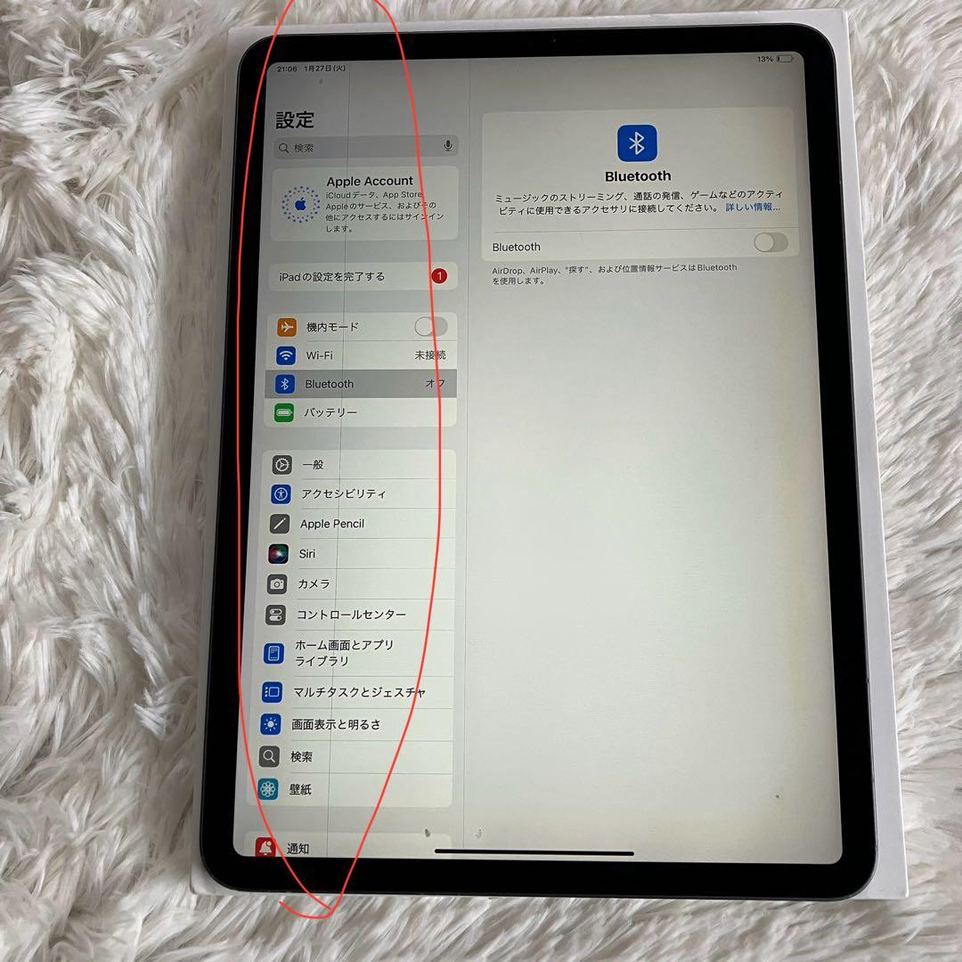 【早い者勝ち】iPad Pro 11インチ 第2世代 256GB 【すぐ発送】